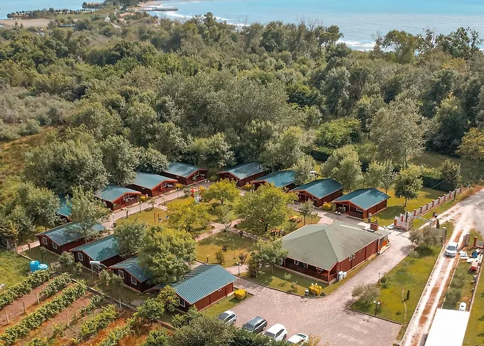 Alpesi faház Kompleksi Turistik Leonardo *